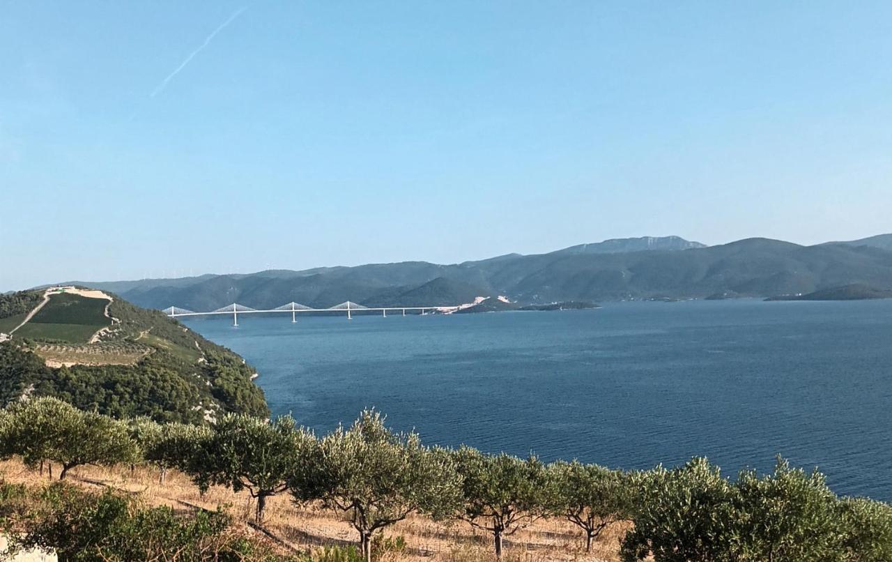 Apartmani Kremena Klek Bagian luar foto