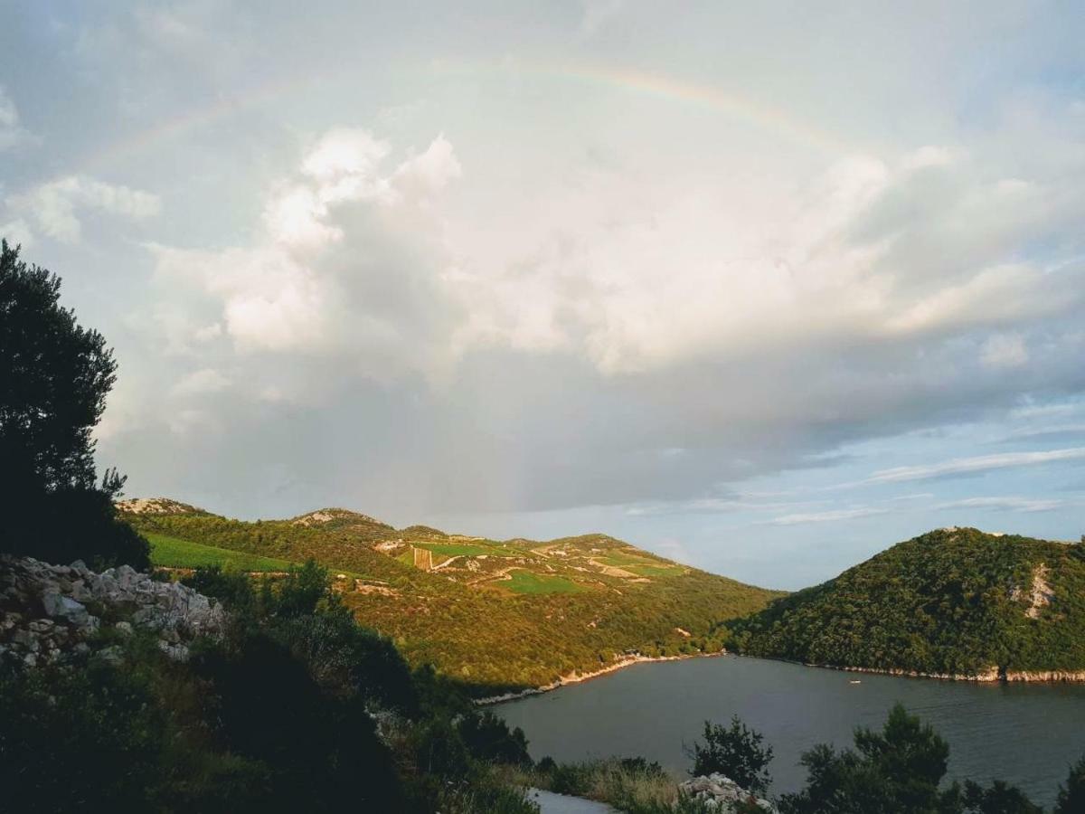 Apartmani Kremena Klek Bagian luar foto