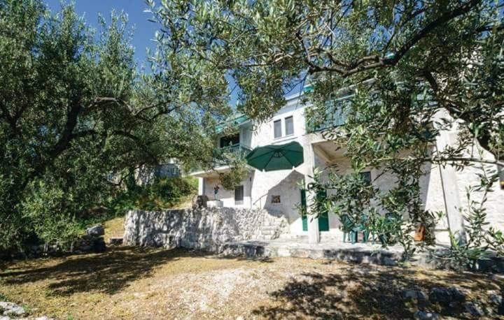 Apartmani Kremena Klek Bagian luar foto