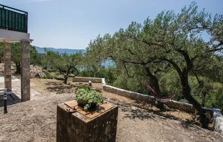 Apartmani Kremena Klek Bagian luar foto
